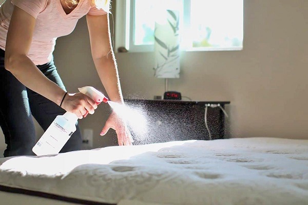 Xử lý vết bẩn trên đệm mút bằng dung dịch chanh sả