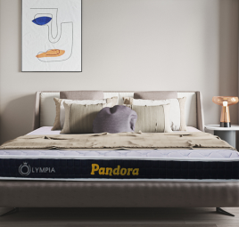 Top 5 đệm foam chất lượng giá dưới 5 triệu được ưa chuộng 2026